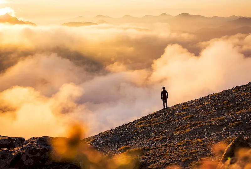 Mount Rainier là nơi đáng chiêm ngưỡng nhất